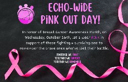 Pink Out Day